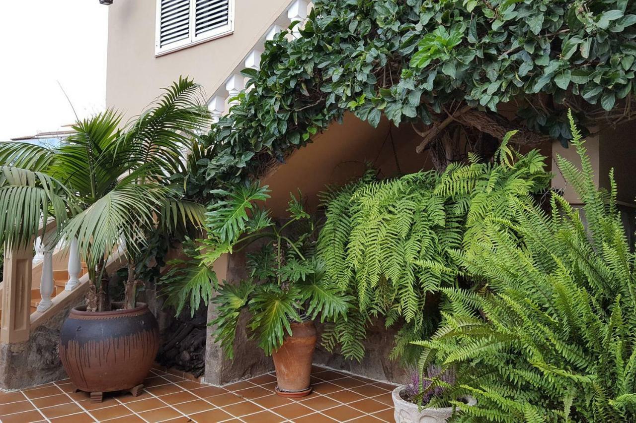 Orotava Garden House Perfect For Families Villa La Orotava Buitenkant foto