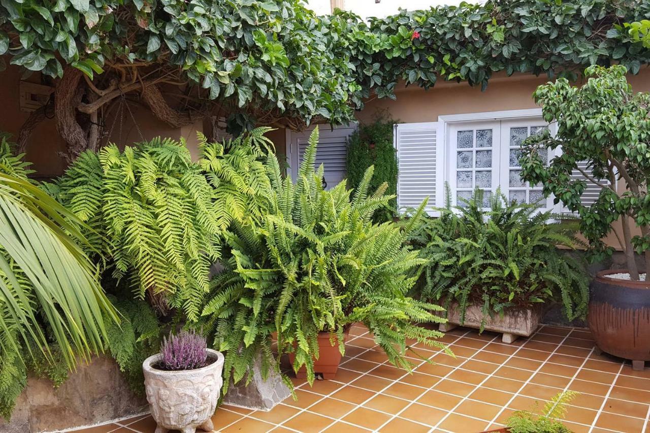 Orotava Garden House Perfect For Families Villa La Orotava Buitenkant foto